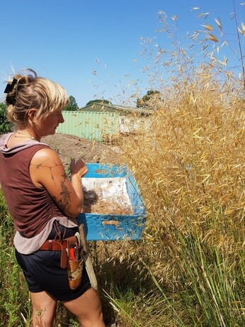 Weekly catch up with garden and propagation Weekly catch up with garden and propagation