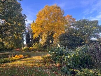 Brilliant autumn colour Brilliant autumn colour