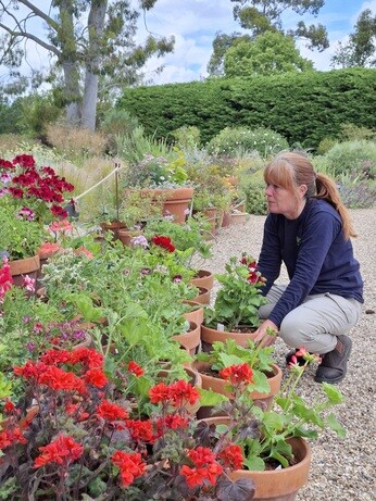 Weekly catch up with garden and propagation Weekly catch up with garden and propagation