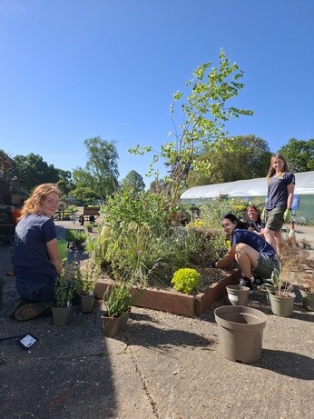 Weekly catch up with gardens & propagation Weekly catch up with gardens & propagation