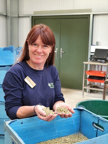 Seed collecting with propagation expert Emily Seed collecting with propagation expert Emily
