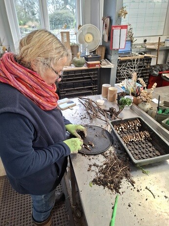 January news from the garden and propagation January news from the garden and propagation