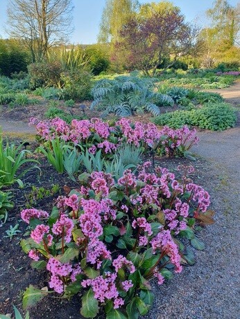 Weekly catch up with gardens & propagation Weekly catch up with gardens & propagation