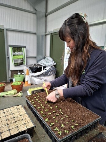 Weekly catch up with gardens & propagation Weekly catch up with gardens & propagation