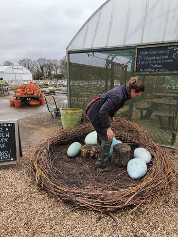 Weekly catch up with garden & propagation Weekly catch up with garden & propagation