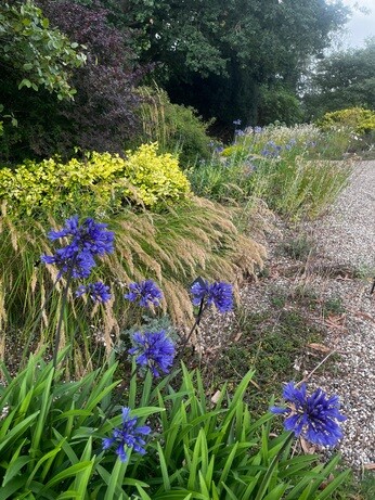 Weekly catch up with garden & propagation Weekly catch up with garden & propagation