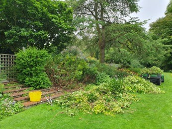 Late summer garden jobs Late summer garden jobs