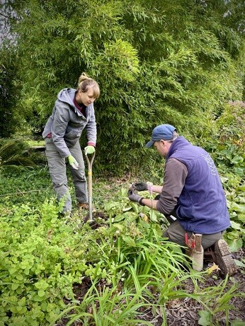 Weekly catch up with garden & propagation Weekly catch up with garden & propagation