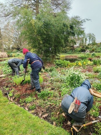 Weekly catch up with garden & propagation Weekly catch up with garden & propagation