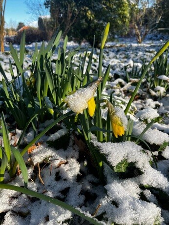 Weekly catch up with garden & propagation Weekly catch up with garden & propagation