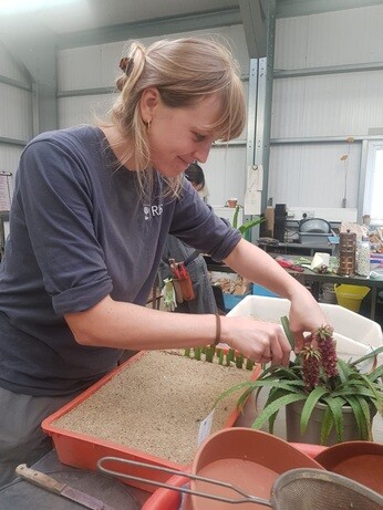Weekly catch up with garden & propagation Weekly catch up with garden & propagation