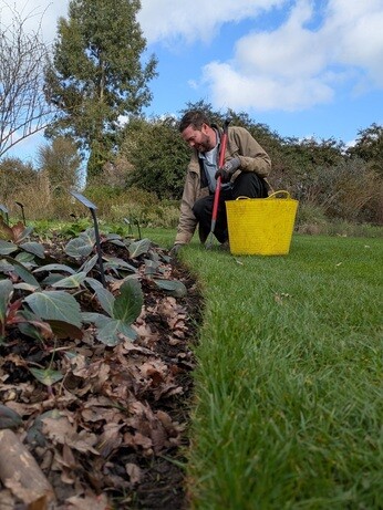 Weekly catch up with garden & propagation Weekly catch up with garden & propagation