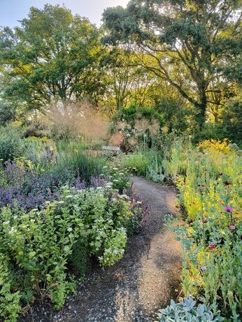 Weekly catch up with garden and propagation Weekly catch up with garden and propagation