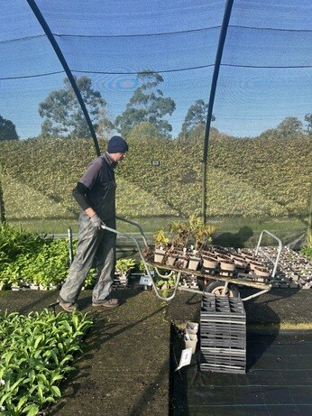 Weekly catch up with garden and propagation Weekly catch up with garden and propagation