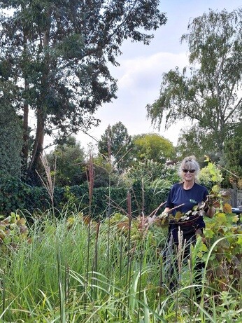 Weekly catch up with garden & propagation Weekly catch up with garden & propagation