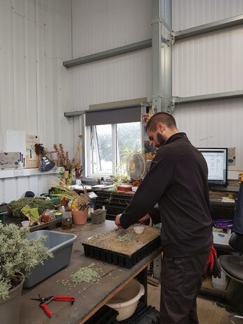 Weekly catch up with garden and propagation Weekly catch up with garden and propagation