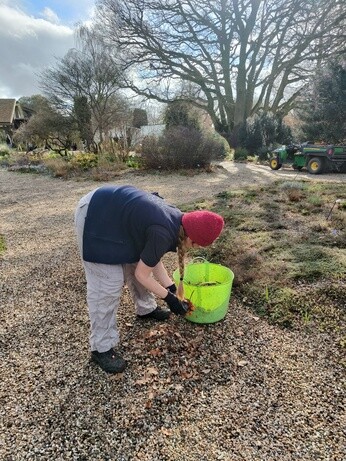 Weekly catch up with garden & propagation Weekly catch up with garden & propagation