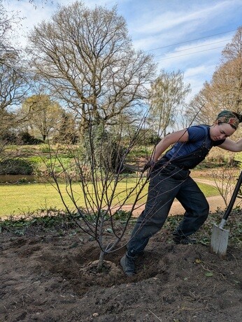 Weekly catch up with gardens & propagation Weekly catch up with gardens & propagation