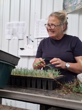 Weekly catch up with garden & propagation Weekly catch up with garden & propagation