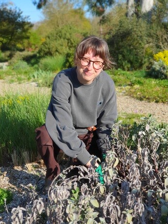 Weekly catch up with gardens & propagation Weekly catch up with gardens & propagation
