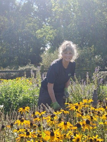Weekly catch up with garden and propagation Weekly catch up with garden and propagation
