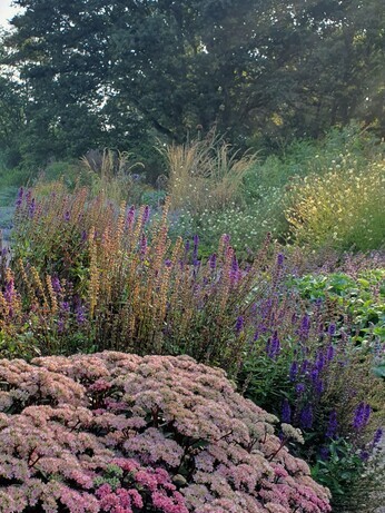 Top 10 plants for autumn Interest Top 10 plants for autumn Interest