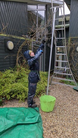 Weekly catch up with garden & propagation Weekly catch up with garden & propagation