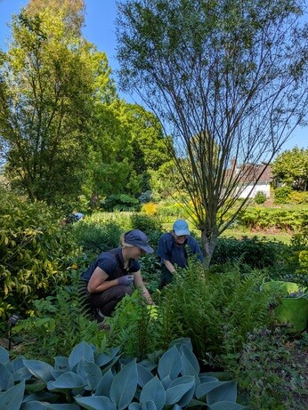 Weekly catch up with gardens & propagation Weekly catch up with gardens & propagation