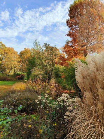 My year as a trainee at Beth Chatto's Plants & Gardens My year as a trainee at Beth Chatto's Plants & Gardens