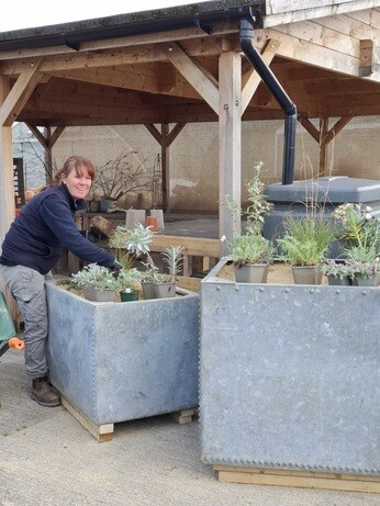 Weekly catch up with garden & propagation Weekly catch up with garden & propagation