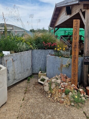 Container gardening Container gardening
