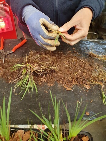 Preparing for winter with the propagation team Preparing for winter with the propagation team