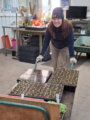 Weekly catch up with garden & propagation Weekly catch up with garden & propagation