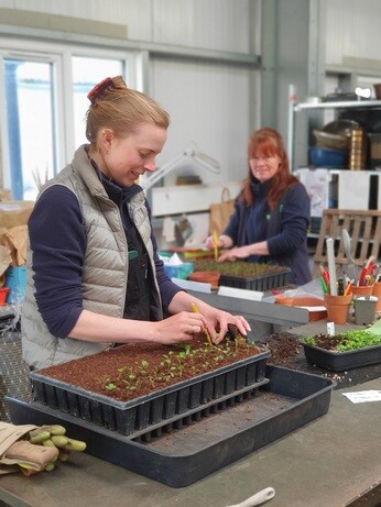 Weekly catch up with gardens & propagation Weekly catch up with gardens & propagation