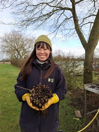 February news from the garden and propagation February news from the garden and propagation