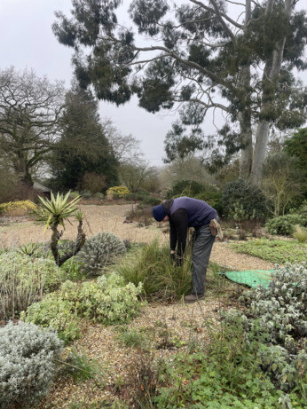 Weekly catch up with garden & propagation Weekly catch up with garden & propagation