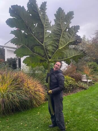 Weekly catch up with garden & propagation Weekly catch up with garden & propagation