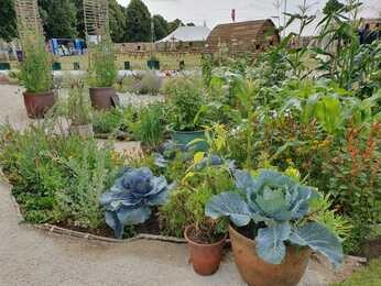 Carol Klein's Iconic Horticultural Hero garden at Hampton Court Carol Klein's Iconic Horticultural Hero garden at Hampton Court