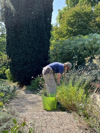 Weekly catch up with garden & propagation Weekly catch up with garden & propagation