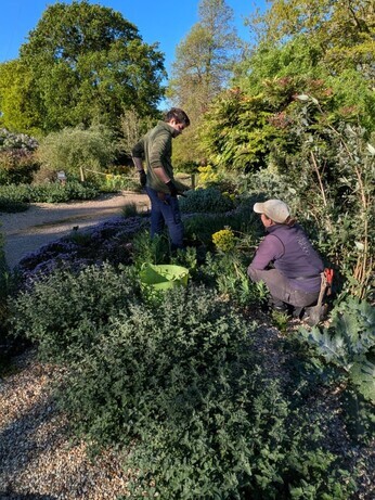 Weekly catch up with garden & propagation Weekly catch up with garden & propagation
