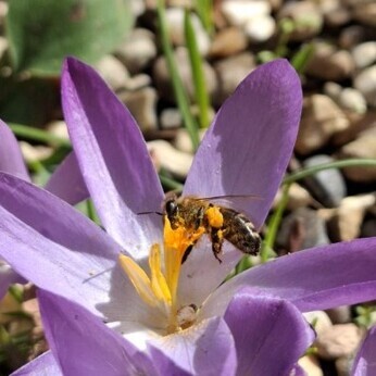 Wild Words from the Ground – February & March Wild Words from the Ground – February & March