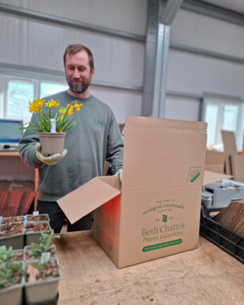 Weekly catch up with gardens & propagation Weekly catch up with gardens & propagation