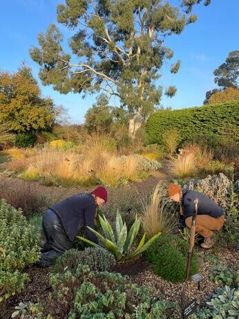 A look back at 2024 with the garden team A look back at 2024 with the garden team
