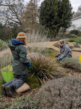 Weekly catch up with garden & propagation Weekly catch up with garden & propagation