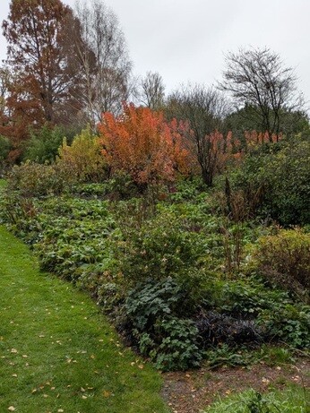 Weekly catch up with garden & propagation Weekly catch up with garden & propagation