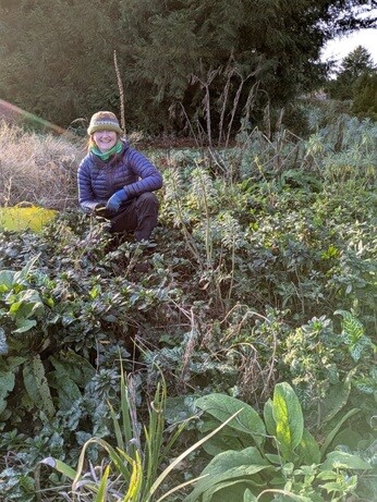 Weekly catch up with garden & propagation Weekly catch up with garden & propagation