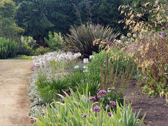 How the garden is coping with the drought 2022 How the garden is coping with the drought 2022