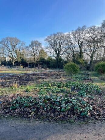 January news from the garden and propagation January news from the garden and propagation