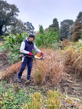 November news from the garden and propagation November news from the garden and propagation
