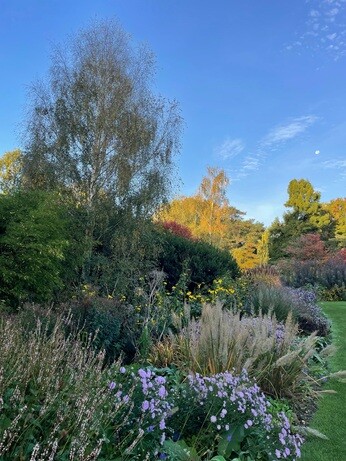 Weekly catch up with garden & propagation Weekly catch up with garden & propagation